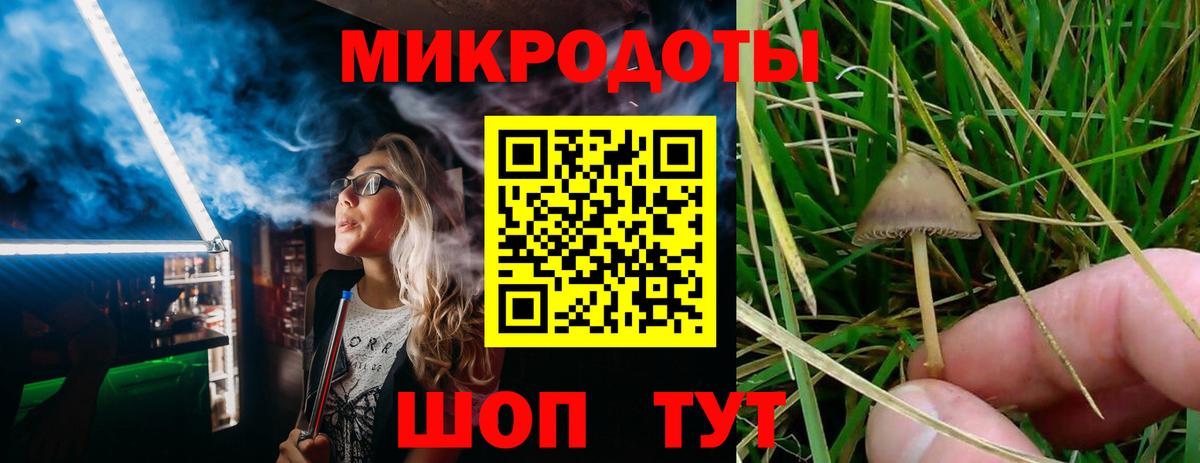 Галлюциногенные грибы ЛСД Гурьевск